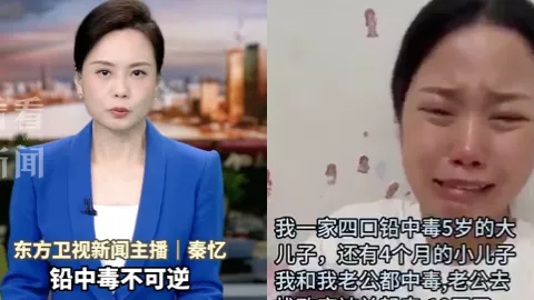 陕西咸阳铅中毒事件