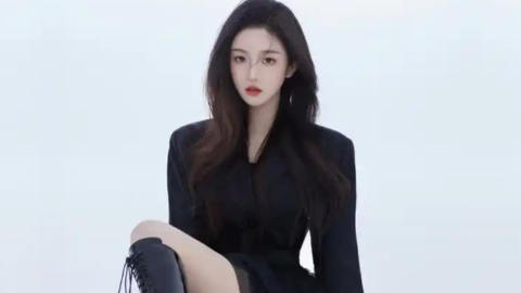 算法复制与租赁方案