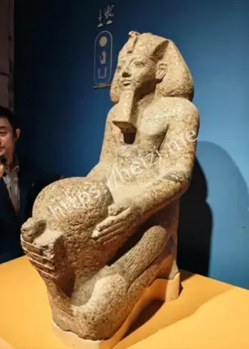 上海自然博物馆