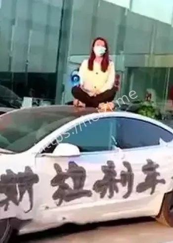 车顶维权数据案一审