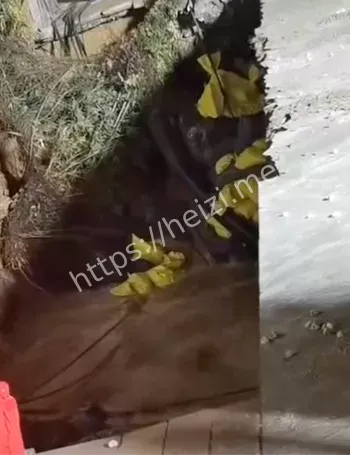 南宁北大桥右侧堤外陷坑事件